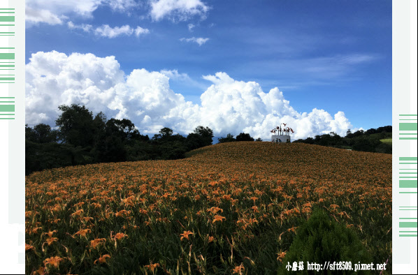 106.8.27(79)赤柯山-林家園.JPG