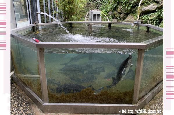 107.12.15.(84)尖石-錦屏美人湯館泡湯+用餐.JPG