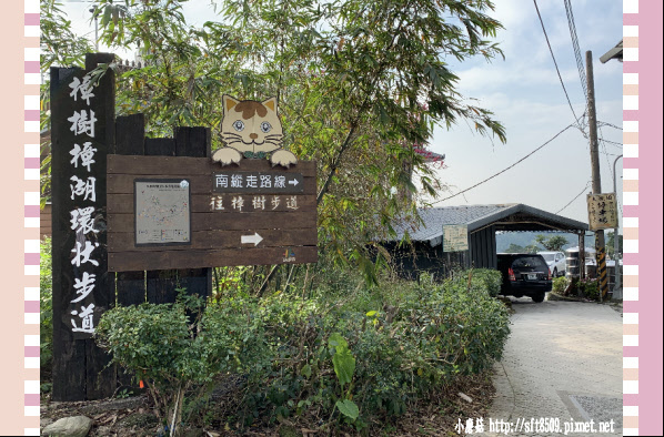 108.2.19.(3)貓空-樟樹步道賞閃閃淚光魯冰花.JPG