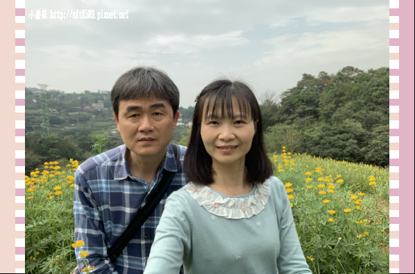 108.2.19.(20)貓空-樟樹步道賞閃閃淚光魯冰花.JPG