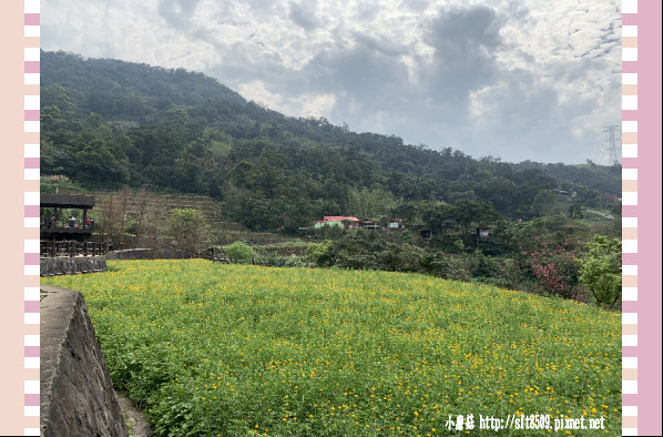 108.2.19.(51)貓空-樟樹步道賞閃閃淚光魯冰花.JPG