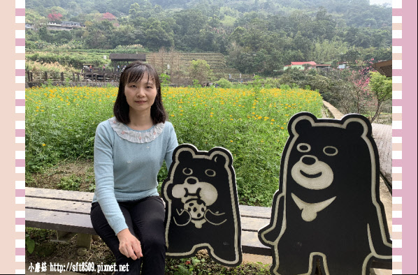 108.2.19.(63)貓空-樟樹步道賞閃閃淚光魯冰花.JPG