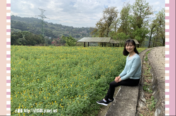 108.2.19.(68)貓空-樟樹步道賞閃閃淚光魯冰花.JPG