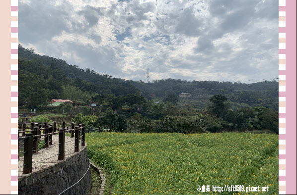 108.2.19.(73)貓空-樟樹步道賞閃閃淚光魯冰花.JPG