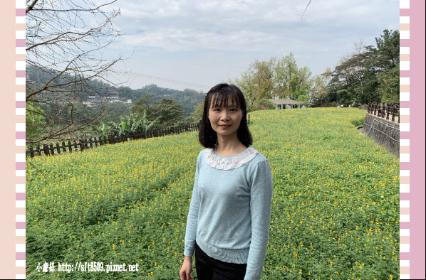 108.2.19.(87)貓空-樟樹步道賞閃閃淚光魯冰花.JPG