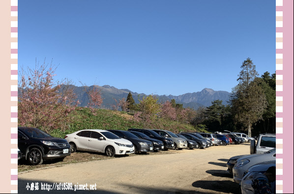 108.3.2.(4)福壽山農場-千櫻園.JPG