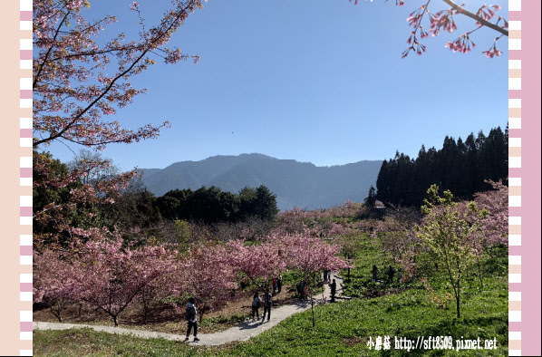 108.3.2.(22)福壽山農場-千櫻園.JPG