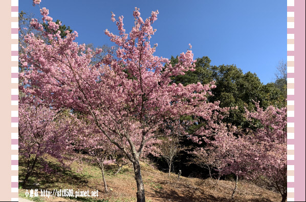 108.3.2.(25)福壽山農場-千櫻園.JPG