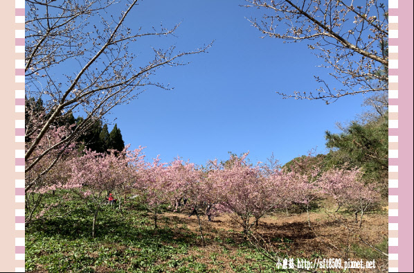 108.3.2.(60)福壽山農場-千櫻園.JPG