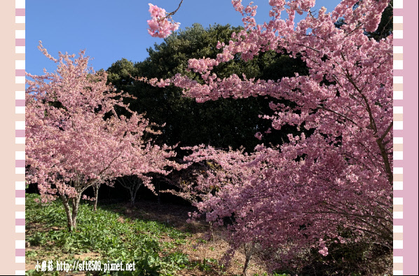 108.3.2.(80)福壽山農場-千櫻園.JPG