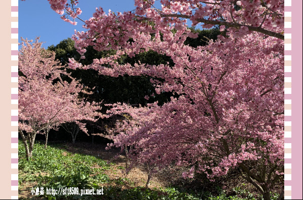 108.3.2.(92)福壽山農場-千櫻園.JPG