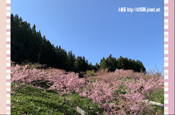 108.3.2.(142)福壽山農場-千櫻園.JPG