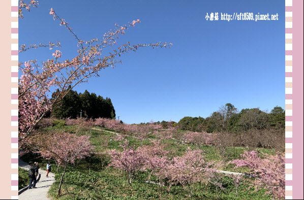 108.3.2.(145)福壽山農場-千櫻園.JPG