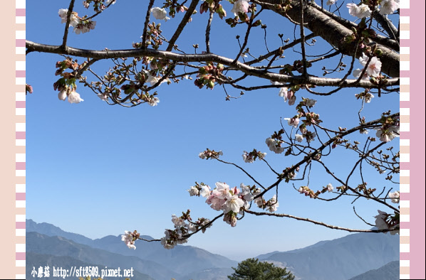 108.3.2.(155)福壽山農場-千櫻園.JPG