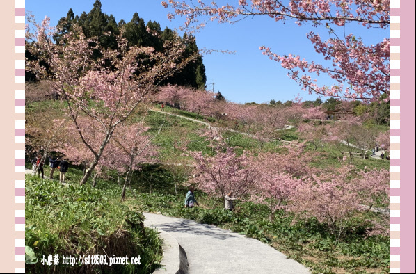 108.3.2.(166)福壽山農場-千櫻園.JPG