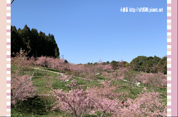 108.3.2.(167)福壽山農場-千櫻園.JPG