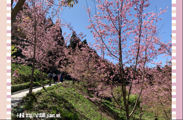 108.3.2.(200)福壽山農場-千櫻園.JPG