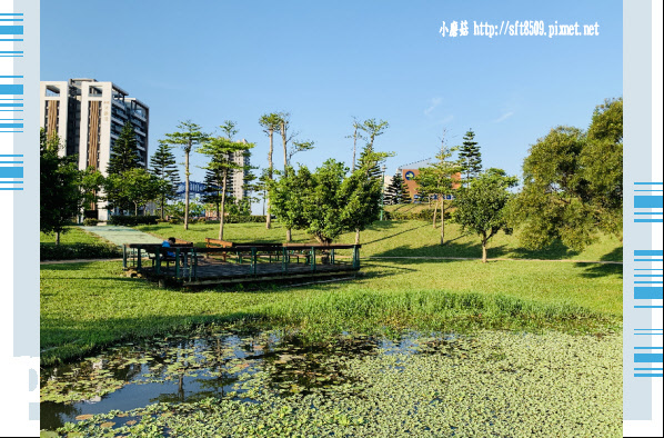 108.4.17.(97)青塘園生態公園.JPG