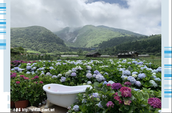 108.5.30.(125)竹子湖-花谷繡球花園.JPG