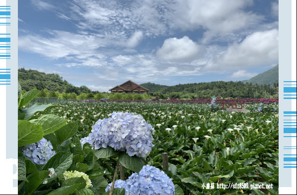 108.5.30.(153)竹子湖-花谷繡球花園.JPG