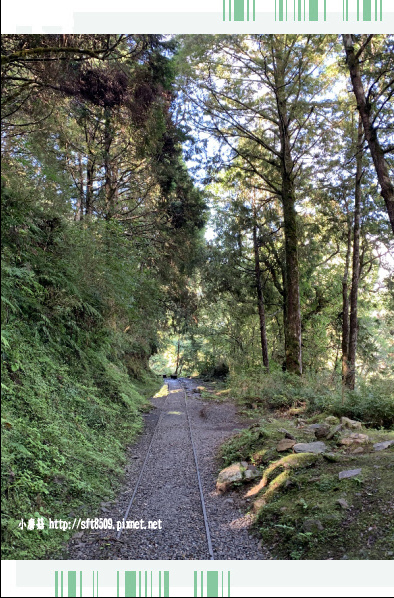 108.7.26.(87)太平山-見晴懷古步道.JPG