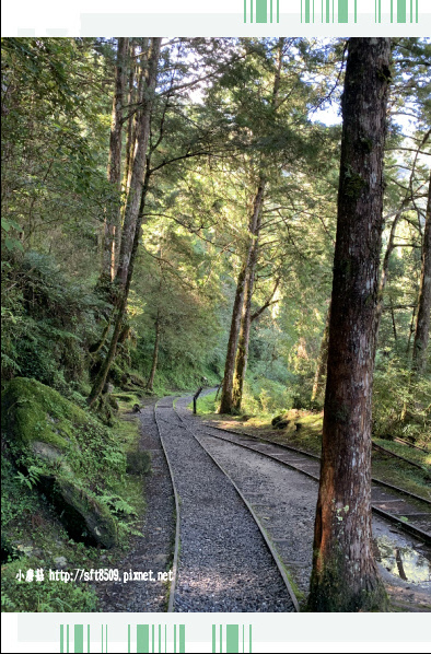 108.7.26.(100)太平山-見晴懷古步道.JPG