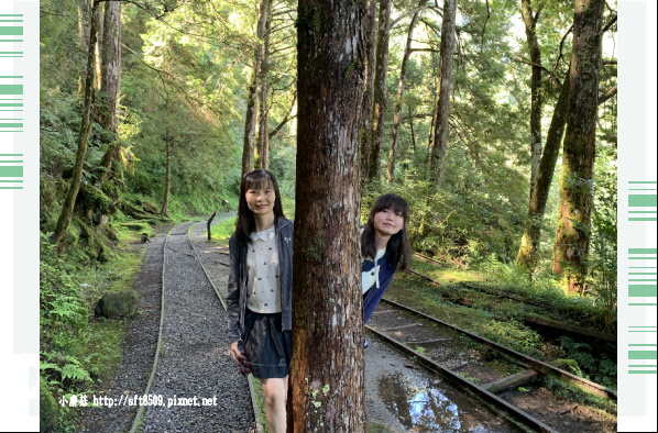 108.7.26.(105)太平山-見晴懷古步道.JPG