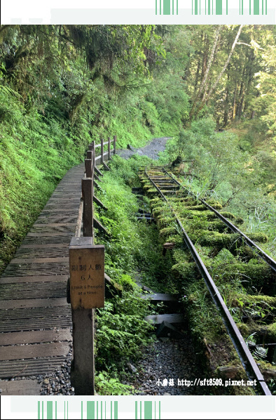 108.7.26.(143)太平山-見晴懷古步道.JPG