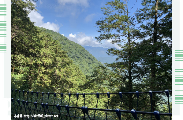 108.7.26.(212)太平山-見晴懷古步道.JPG