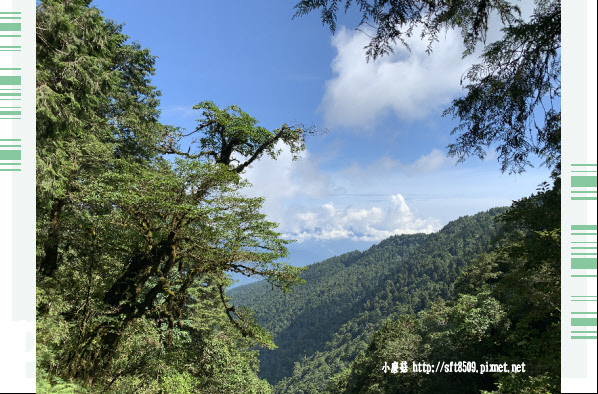 108.7.26.(228)太平山-見晴懷古步道.JPG