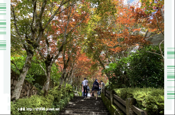 108.7.26.(10)太平山-檜木原始林自然步道.JPG