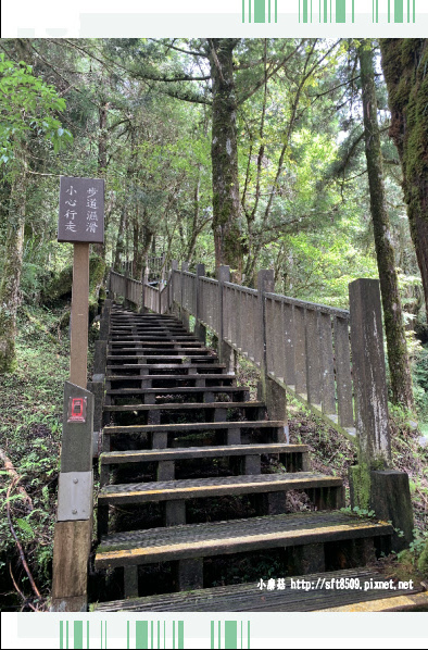 108.7.26.(40)太平山-檜木原始林自然步道.JPG