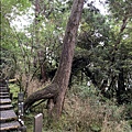 108.7.26.(55)太平山-檜木原始林自然步道.JPG