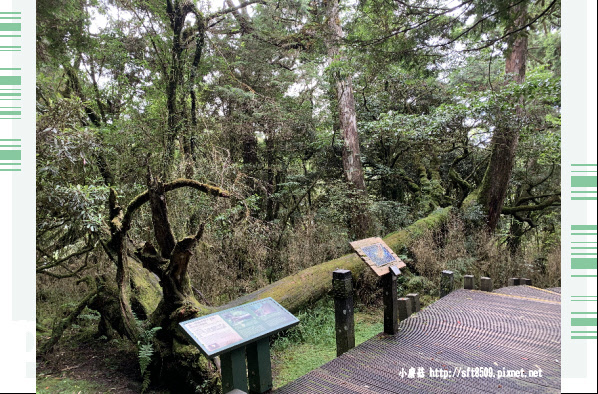 108.7.26.(64)太平山-檜木原始林自然步道.JPG