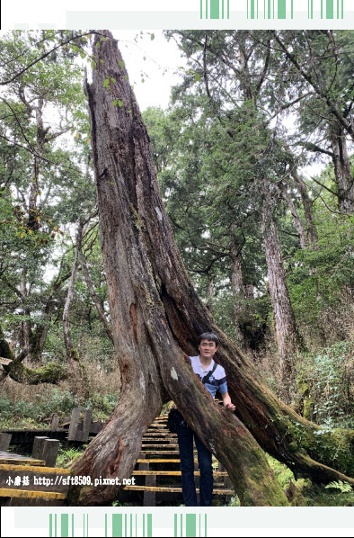 108.7.26.(94)太平山-檜木原始林自然步道.JPG