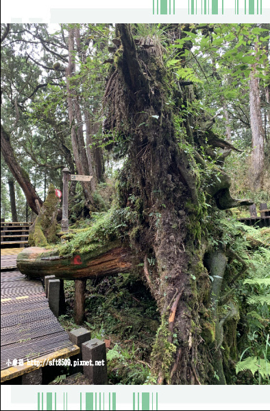 108.7.26.(105)太平山-檜木原始林自然步道.JPG