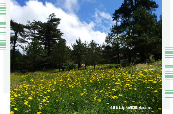 108.7.27.(16)福壽山農場.JPG