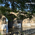 108.10.6.(86)關西-牛欄河親水公園.JPG