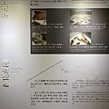 108.10.10.(52)八里-十三行博物館.JPG