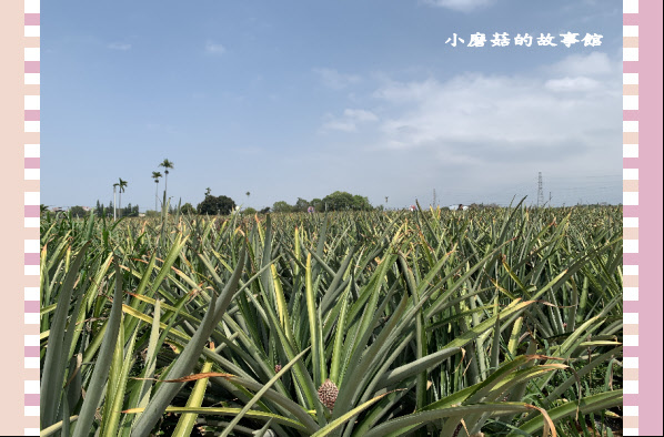 109.3.15.(57)旺萊山文創園區.JPG