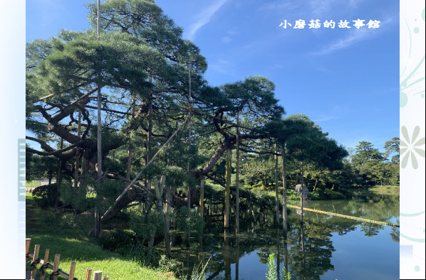 108.9.7.(51)兼六園.JPG