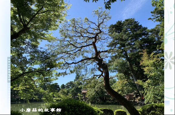 108.9.7.(179)兼六園.JPG