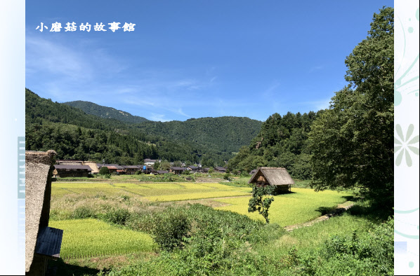 108.9.7.(142)白川鄉合掌村.JPG