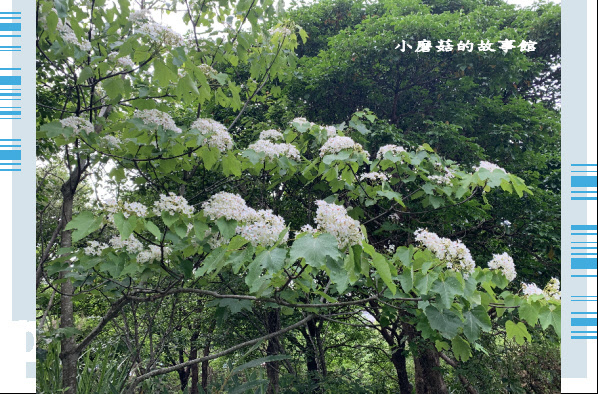 109.4.16.(27)峨眉湖環湖步道.JPG