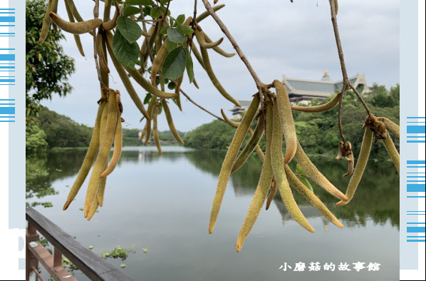 109.4.16.(35)峨眉湖環湖步道.JPG