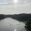 109.4.16.(65)峨眉-細茅埔吊橋.JPG