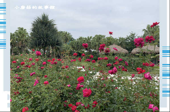 109.4.26.(67)雲林-雅聞峇里海岸.JPG