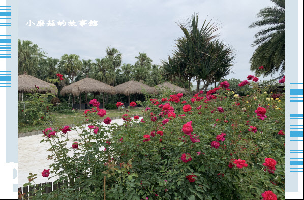 109.4.26.(71)雲林-雅聞峇里海岸.JPG