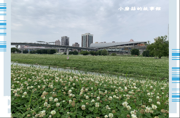 109.5.1.(4)新北大都會公園.JPG