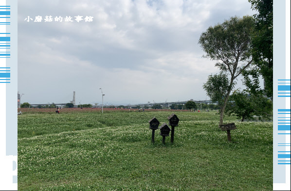 109.5.1.(21)新北大都會公園.JPG